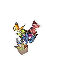 Живые бабочки от Cyber Florist WW